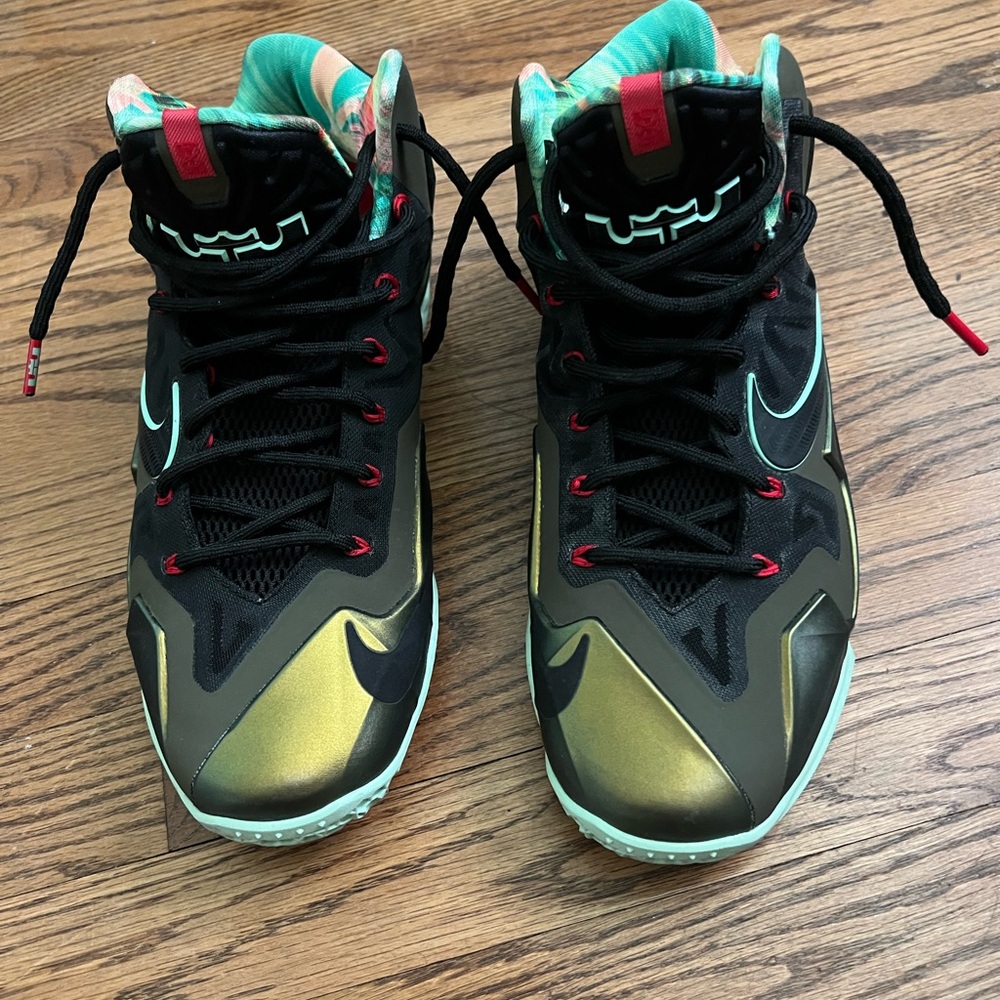 Nike LeBron 11 Kings Pride